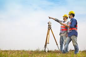 Surveyor