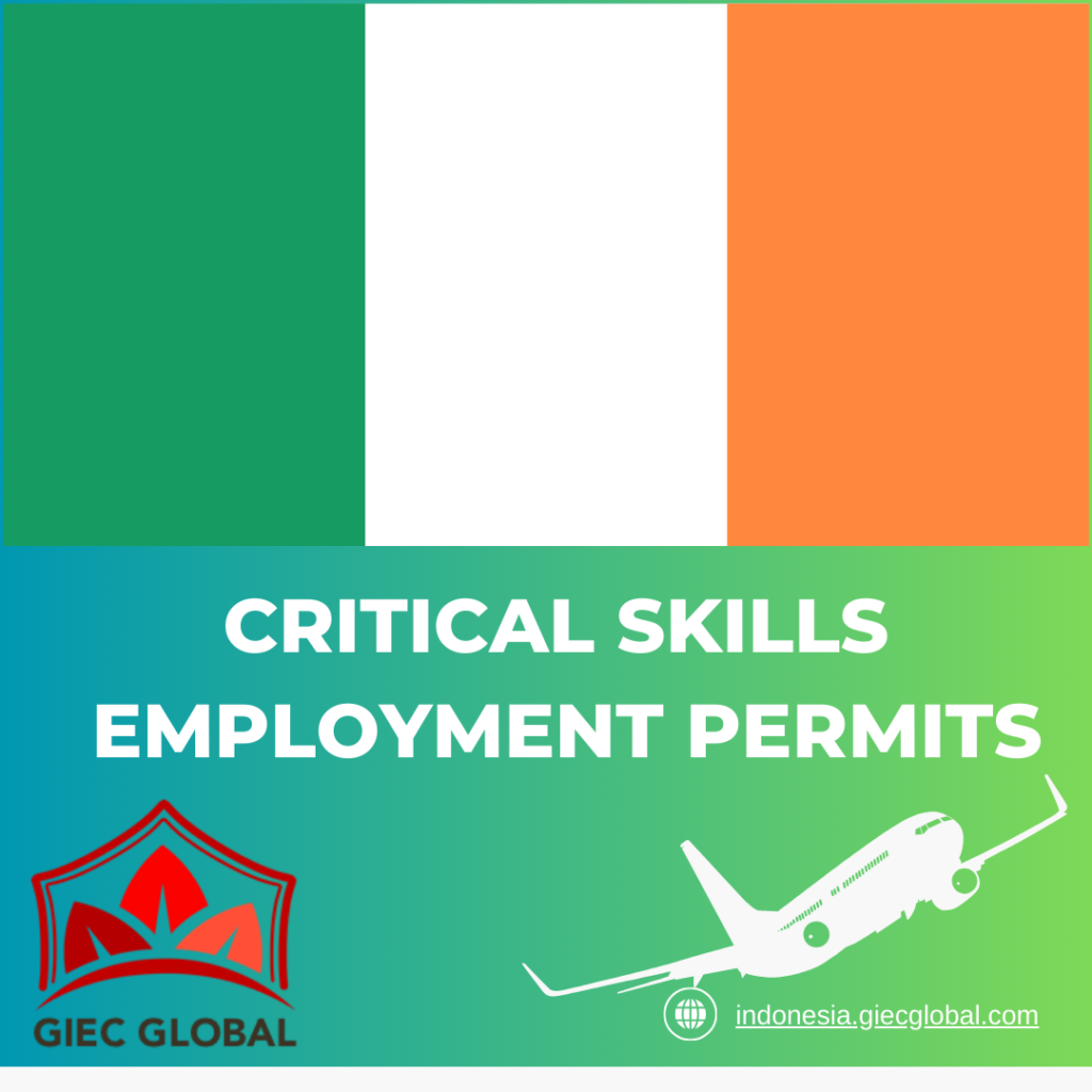 Critical Skills Employment Permits​